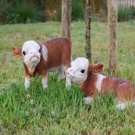 Appartement In Near Sandy Beaches *