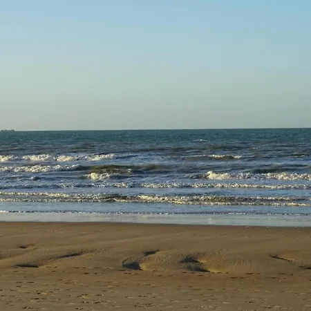 Appartement In Near Sandy Beaches Nieuport