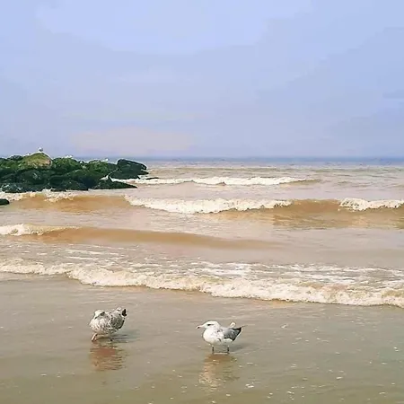 In Near Sandy Beaches Nieuport