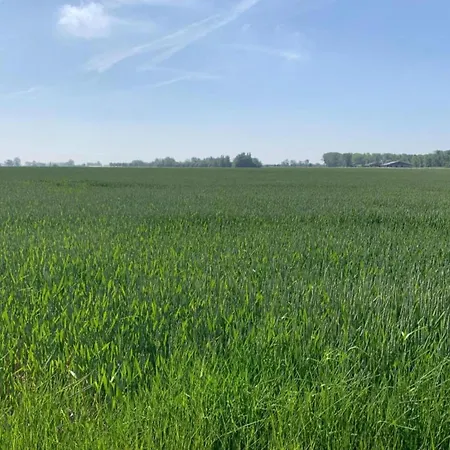 In Near Sandy Beaches