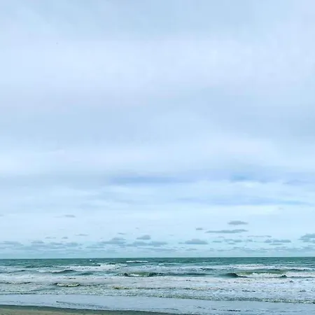 Appartement In Near Sandy Beaches