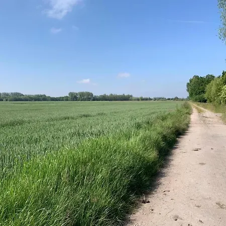 Appartement In Near Sandy Beaches *