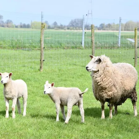 In Near Sandy Beaches Appartement *